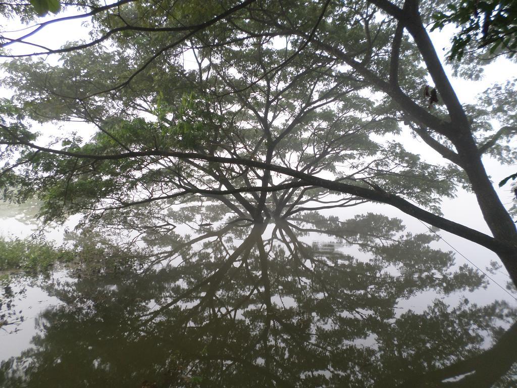 River Side Homestay Apartment Kandy Exterior foto