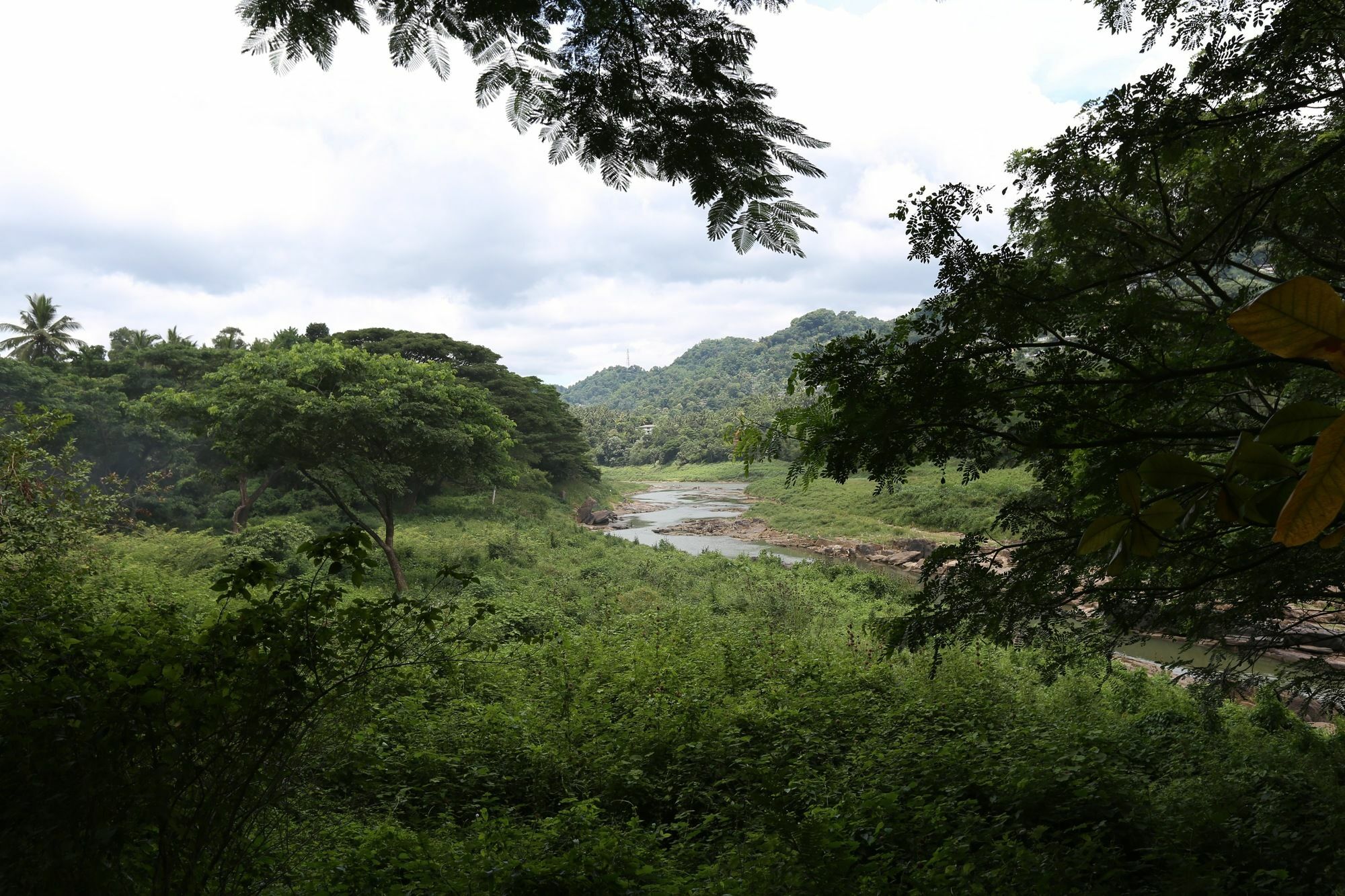 River Side Homestay Apartment Kandy Exterior foto